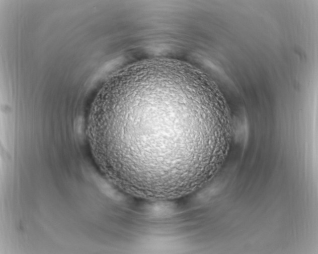 X0000091200670200708091308