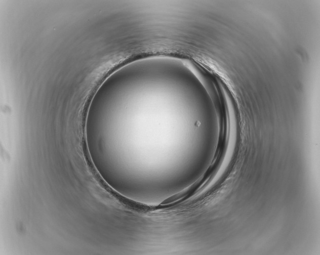 X0000091200673200708091307