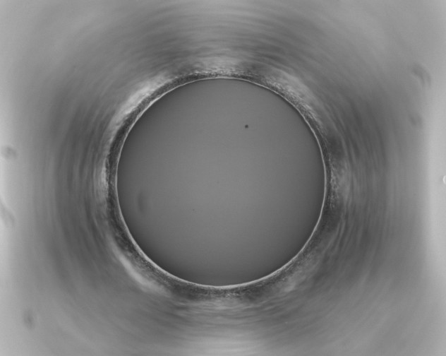 X0000091200674200708091307