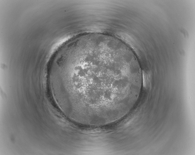 X0000091200675200708091307