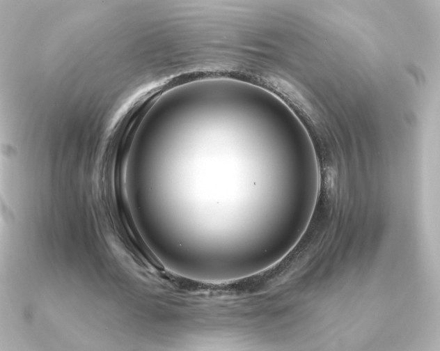 X0000091200676200708091307