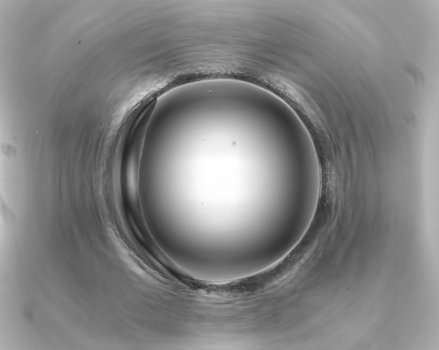 X0000091200677200708091307