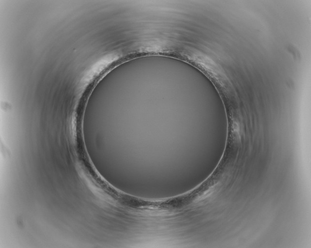 X0000091200678200708091307