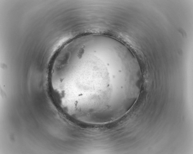 X0000091200679200708091307