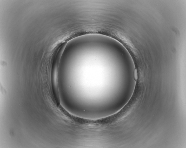 X0000091200681200708091307