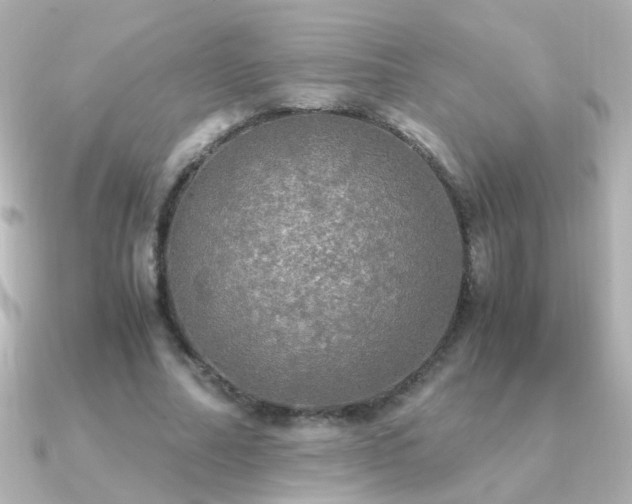 X0000091200682200708091307