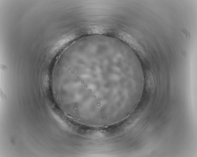 X0000091200683200708091307
