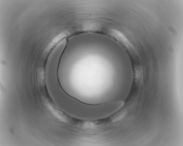 X0000091200684200708091307