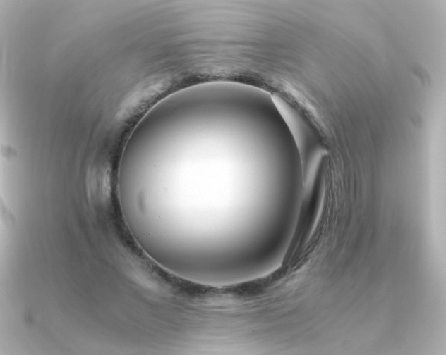 X0000091200685200708091307