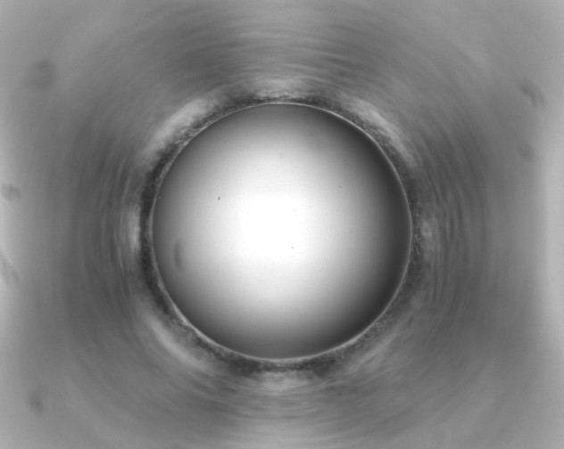 X0000091200686200708091307