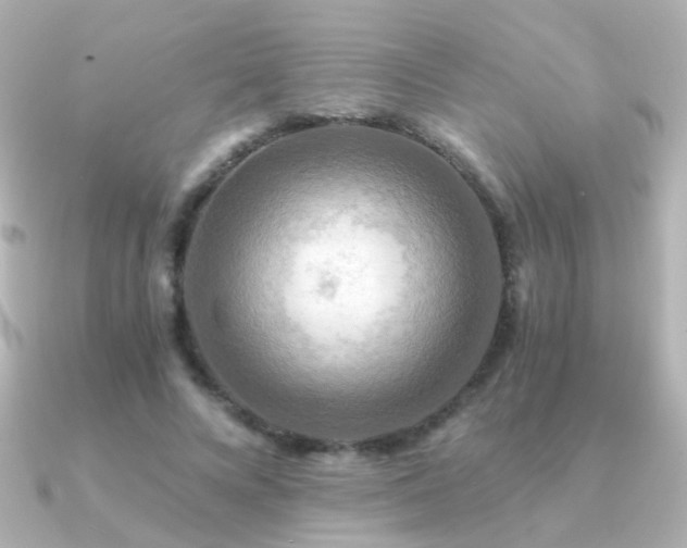 X0000091200688200708091307