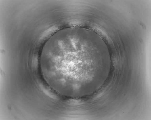 X0000091200690200708091307