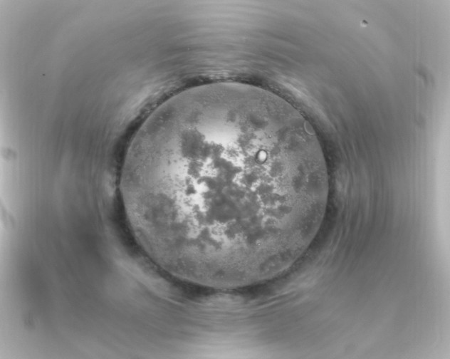 X0000091200691200708091307