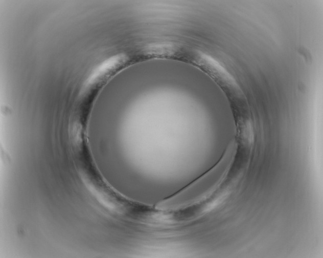 X0000091200692200708091307