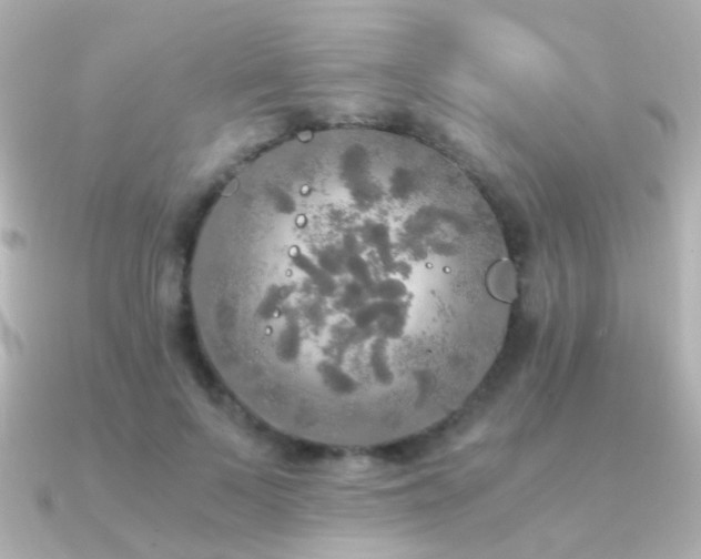 X0000091200695200708091307