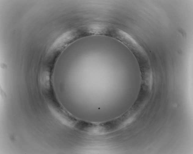 X0000091200696200708091307