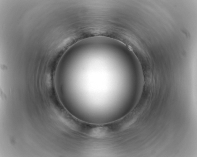 X0000091200700200708091307