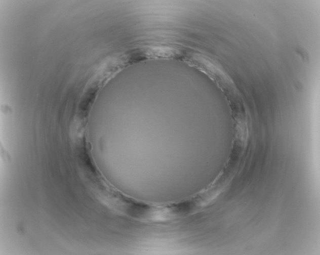 X0000091200701200708091307