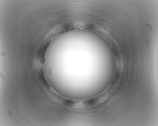 X0000091200705200708091307