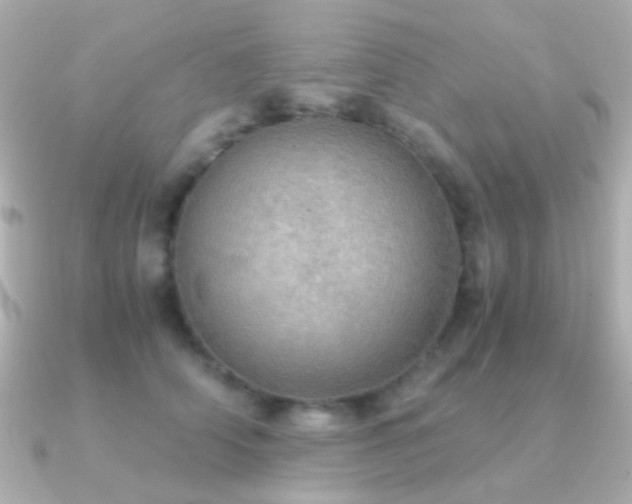 X0000091200706200708091307