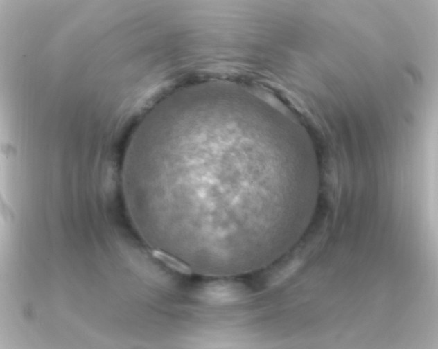 X0000091200708200708091307