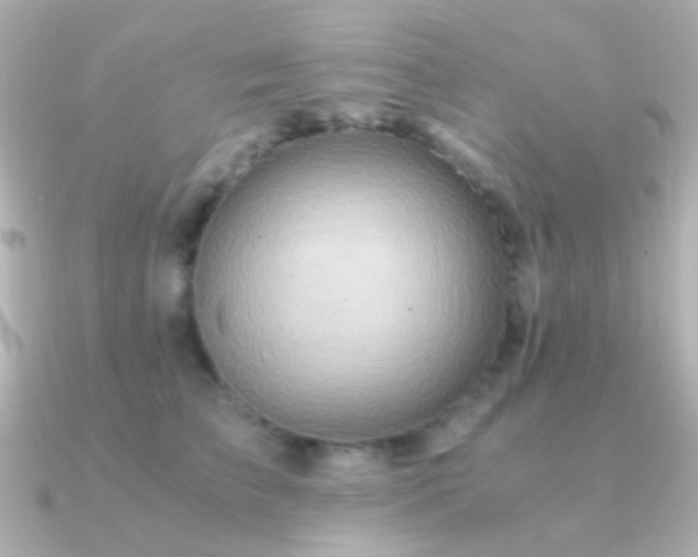 X0000091200709200708091307