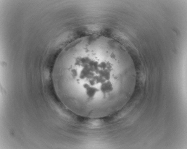 X0000091200711200708091307