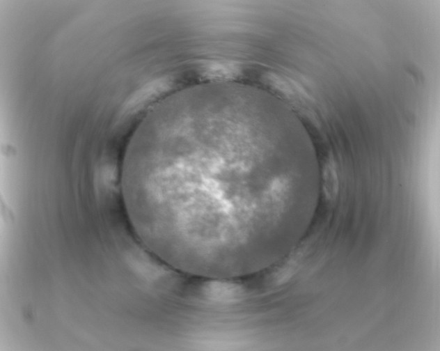 X0000091200714200708091307
