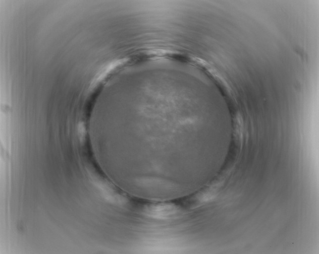 X0000091200716200708091307