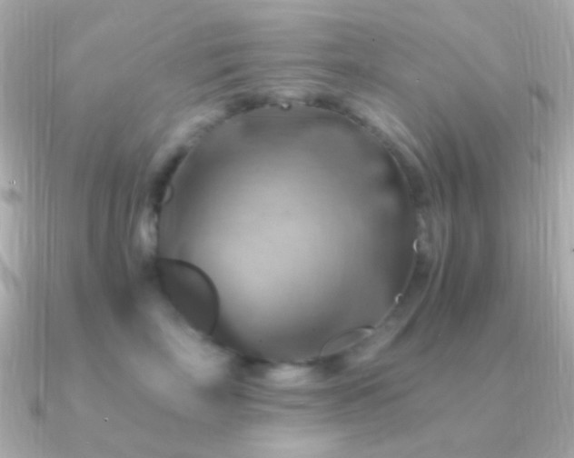 X0000091200718200708091307