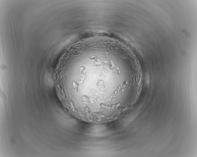 X0000091200719200708091307