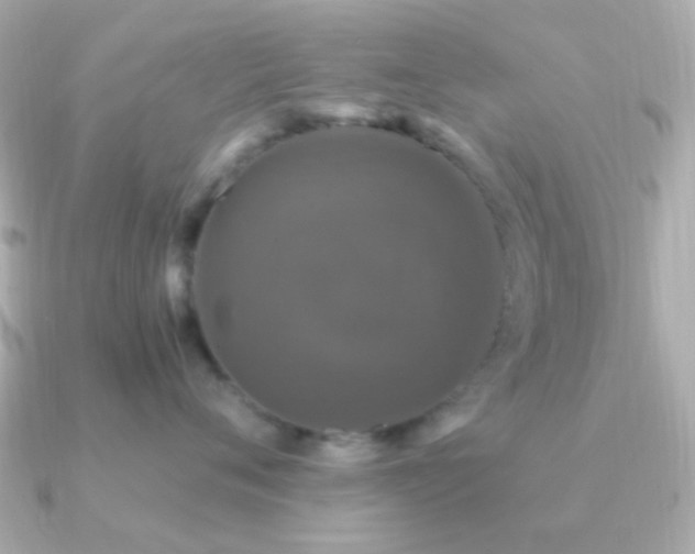 X0000091200720200708091307