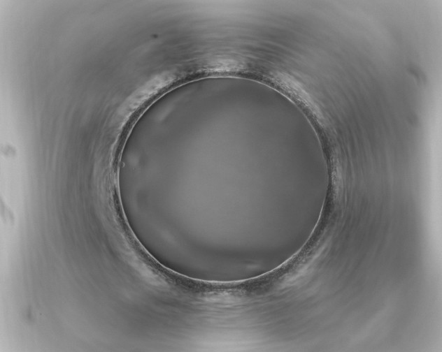 X0000091200721200708091306