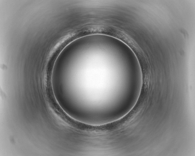 X0000091200722200708091306
