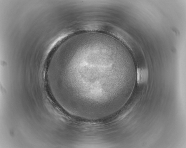 X0000091200723200708091306