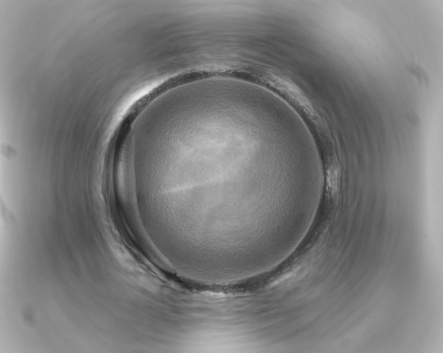X0000091200724200708091306