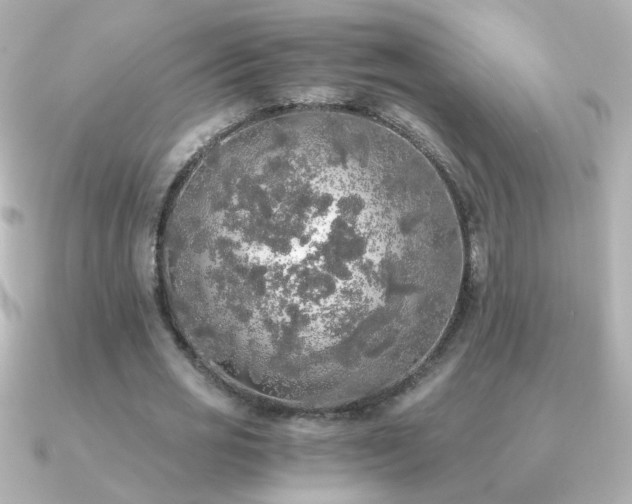 X0000091200725200708091306
