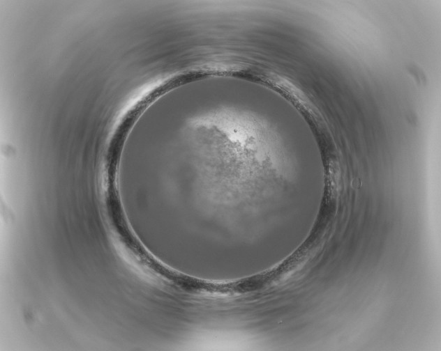 X0000091200726200708091306