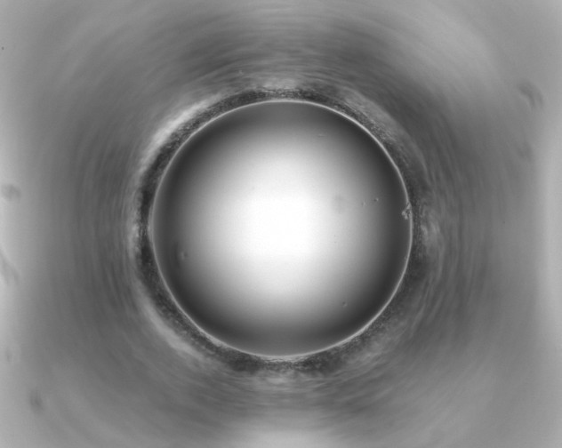 X0000091200728200708091306
