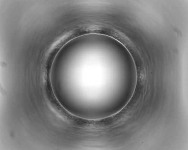 X0000091200732200708091306