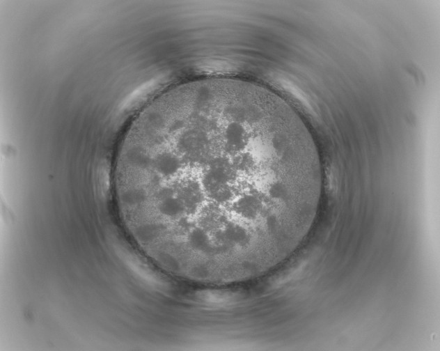 X0000091200733200708091306