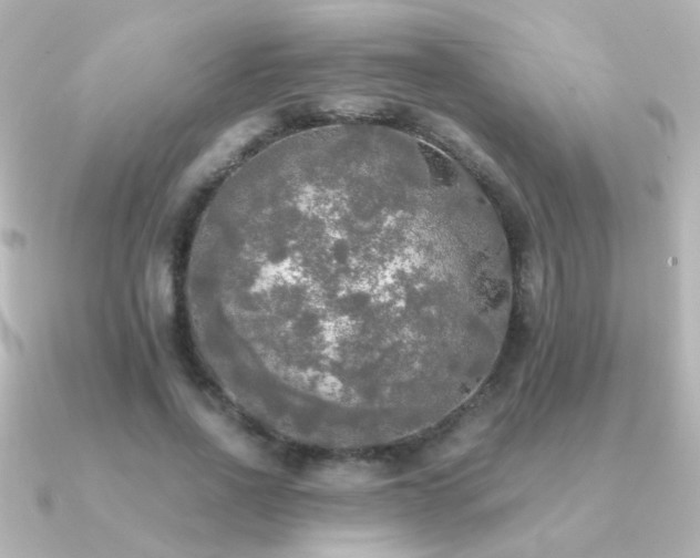 X0000091200734200708091306