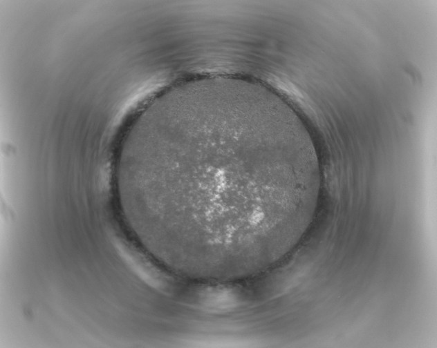 X0000091200735200708091306