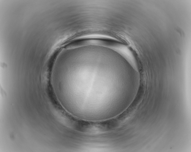 X0000091200736200708091306
