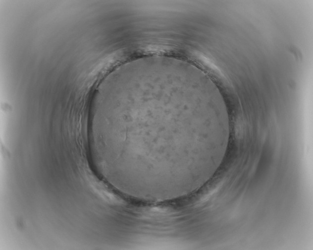 X0000091200737200708091306