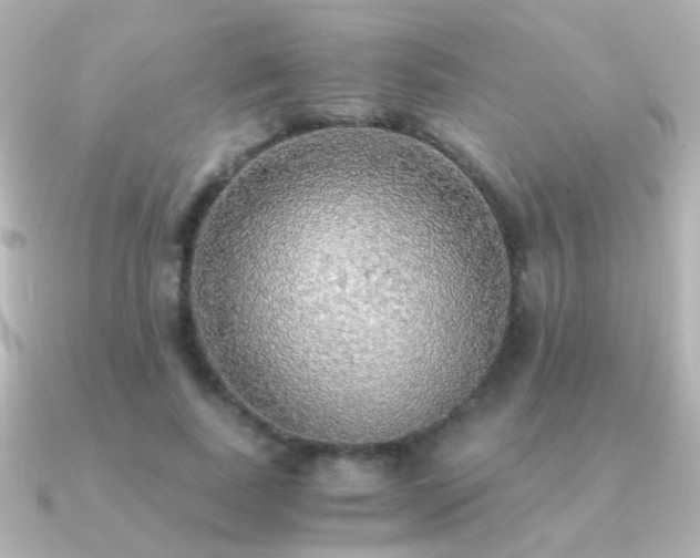 X0000091200739200708091306