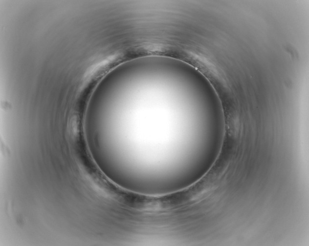 X0000091200740200708091306