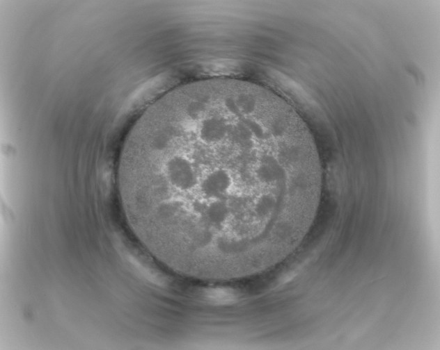 X0000091200741200708091306