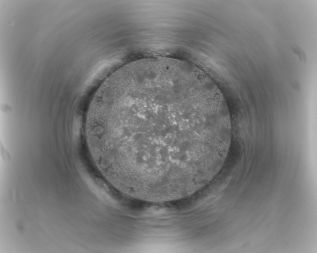 X0000091200742200708091307