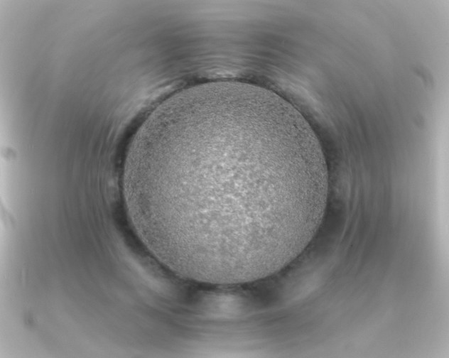 X0000091200743200708091307